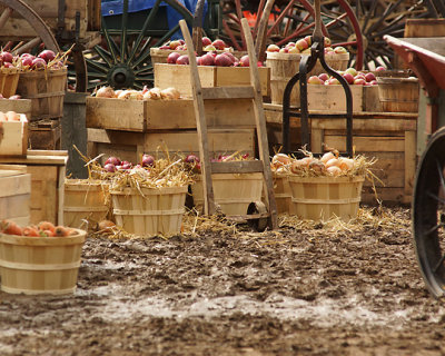 Kingston Market Movie Set 00722 copy.jpg
