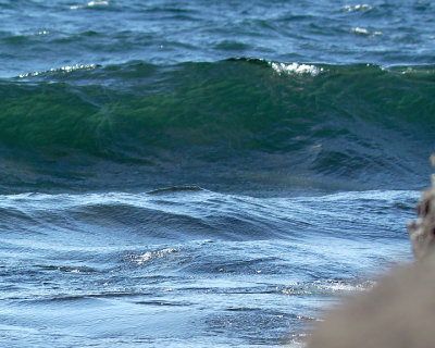 g9/12/720312/3/158415733.BQK6BuUl.jpg