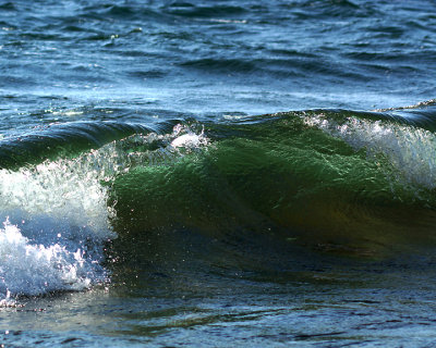 Waves 07778 copy.jpg