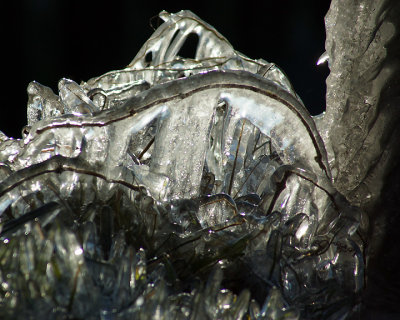 Ice Is Nice 09948 copy.jpg