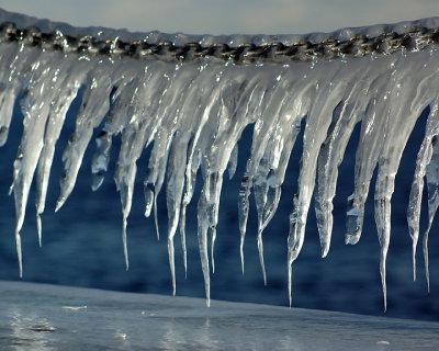 Ice Is Nice 00011 copy.jpg