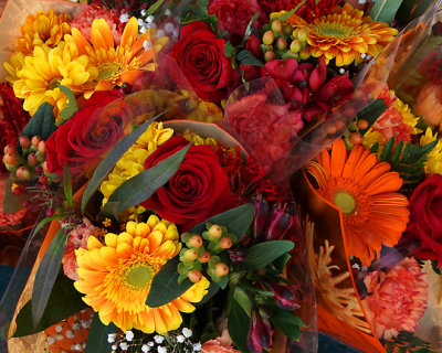 Kingston Farmers Market 00680.jpg
