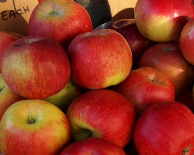 Kingston Farmers Market 00701.jpg