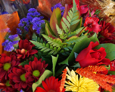 Kingston Farmers Market 00692.jpg