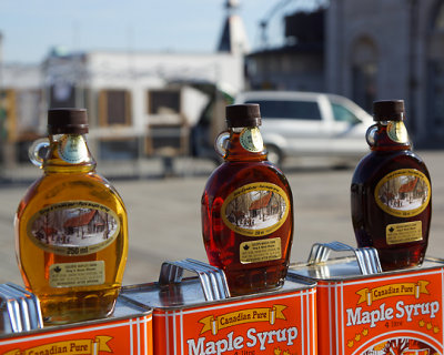 Kingston Farmers Market 00712.jpg
