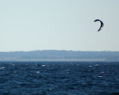Kite Boarding 11-11-14