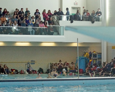 Queen's Synchronized Swimming 08629 copy.jpg