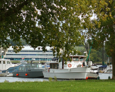 Boats 03234 copy.jpg
