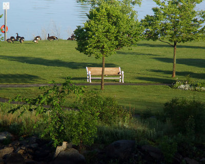 Serenity Bench 04231 copy.jpg