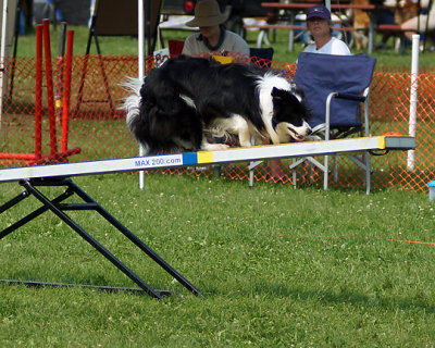 The Agility Connection 04718 copy.jpg