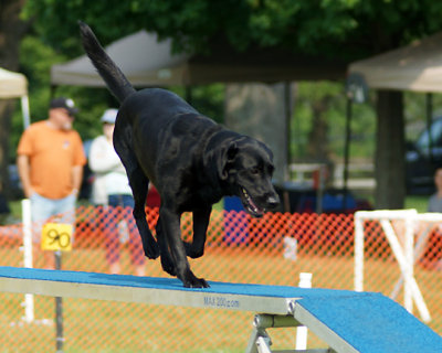 The Agility Connection 04747 copy.jpg