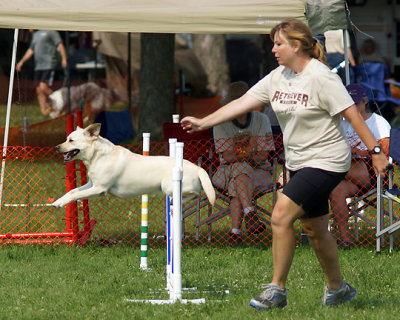 The Agility Connection 04802 copy.jpg