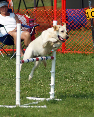 The Agility Connection 04805 copy.jpg