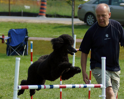 The Agility Connection 04875 copy.jpg