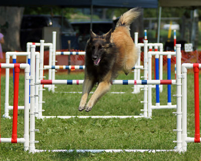 The Agility Connection 05029 copy.jpg