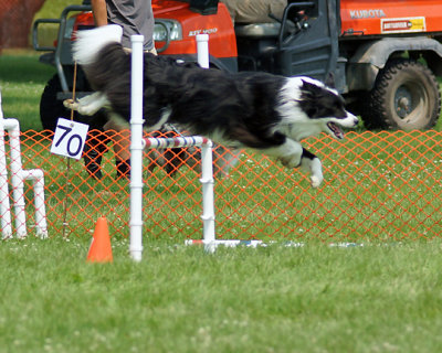 The Agility Connection 05226 copy.jpg