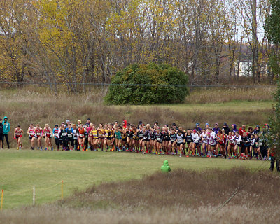 Queen's WCross Country 08858 copy.jpg