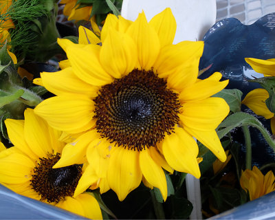 Kingston Farmers Market 3616 copy.jpg