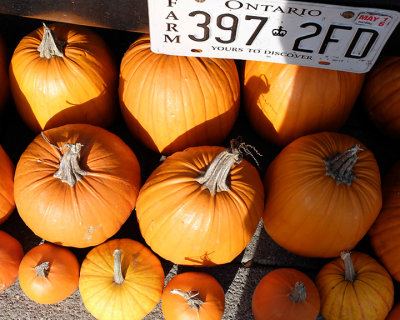 Kingston Farmer's Market 6755 copy.jpg