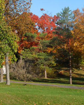 Leaf Peeping 6725 copy.jpg