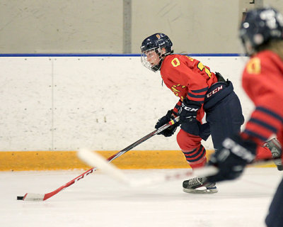 Queen's vs Guelph 7768 copy.jpg