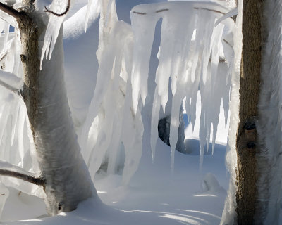 Ice Is Nice 8874 copy.jpg