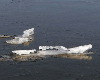 Ice Is Nice 8994 copy.jpg
