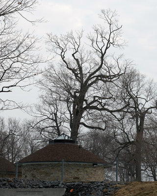 g9/12/720312/3/162746080.BEKhuV8Z.jpg