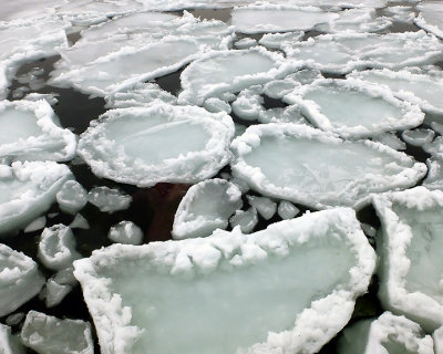 Ice Is Nice 9126 copy.jpg