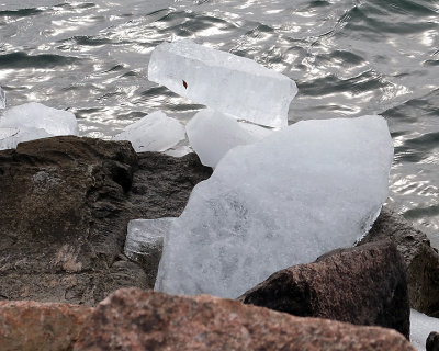 Ice Is Nice 9156 copy.jpg