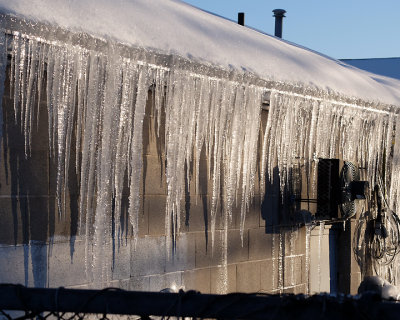 Ice Is Nice 8868 copy.jpg