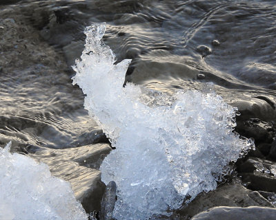Ice Is Nice 0125 copy.jpg