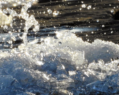 Ice Is Nice 0130 copy.jpg