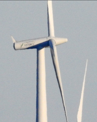 Wind Turbines 0119 copy.jpg