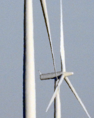Wind Turbines 0120 copy.jpg