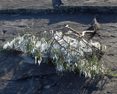 Ice Is Nice 9684 copy.jpg