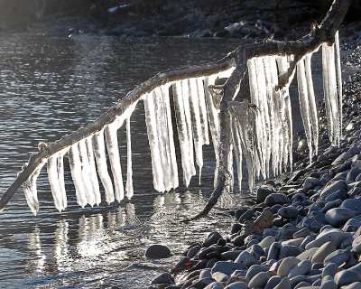 Ice Is Nice 9696 copy.jpg