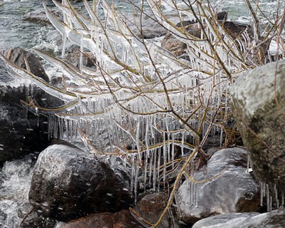 Ice Is Nice 9701 copy.jpg