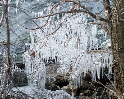 Ice Is Nice 9707 copy.jpg