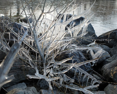 Ice Is Nice 9728 copy.jpg