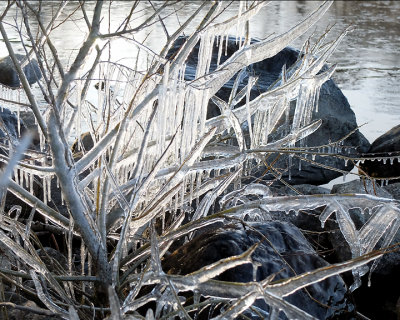 Ice Is Nice 9729 copy.jpg