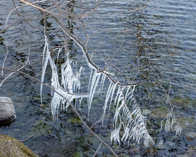 Ice Is Nice 9732 copy.jpg