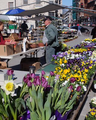 Kingston Farmers Market 1015 copy.jpg