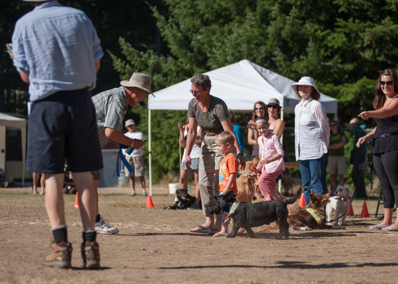 Pet Parade