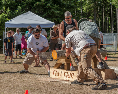 Crosscut Saw Competition
