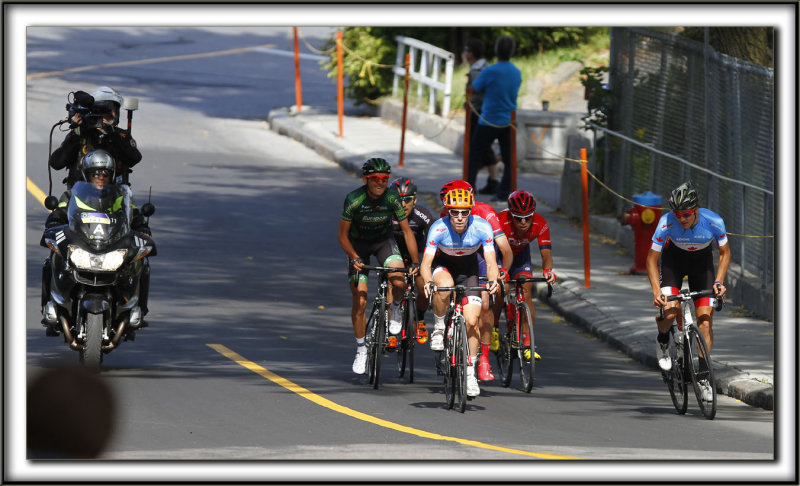 _MG_2703 a copy.jpg