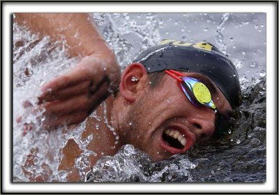 NAGEURS Hommes/ Men  DU 10km DE LA COUPE DU MONDE FINA 2013, Lac Mgantic, Canada / SWIMMERS Men  OF FINA 10km WORLD CUP 2013