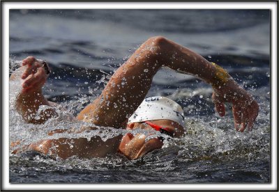  DAMIEN CATTIN-VIDAL  _MG_1478  8 