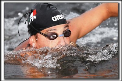 TRAVERSE DU LAC MGANTIC  /  THE SWIMMING ACROSS LAC MGANTIC ( Sub-Galleries)