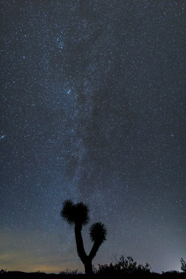Milky Way - Joshua Tree National Park